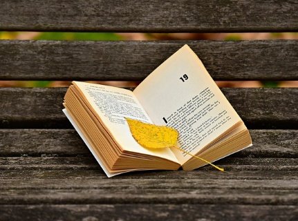 Summary of The Rejected Child by Tina Bogwu