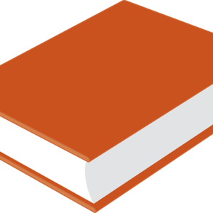 Summary of Second class citizen by Buchi Emecheta