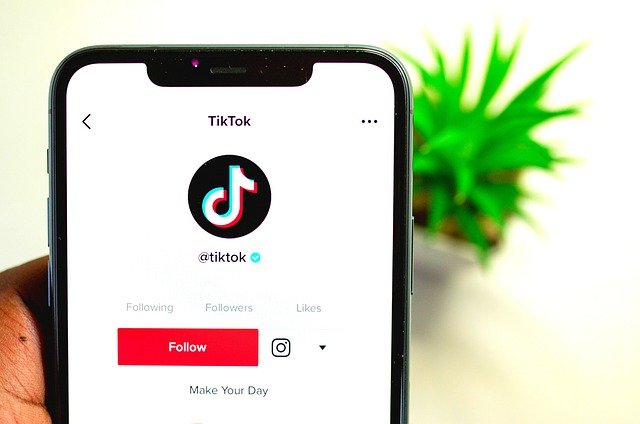 TikTok effects not showing